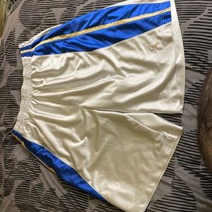 Jordan shiny Basketball shorts